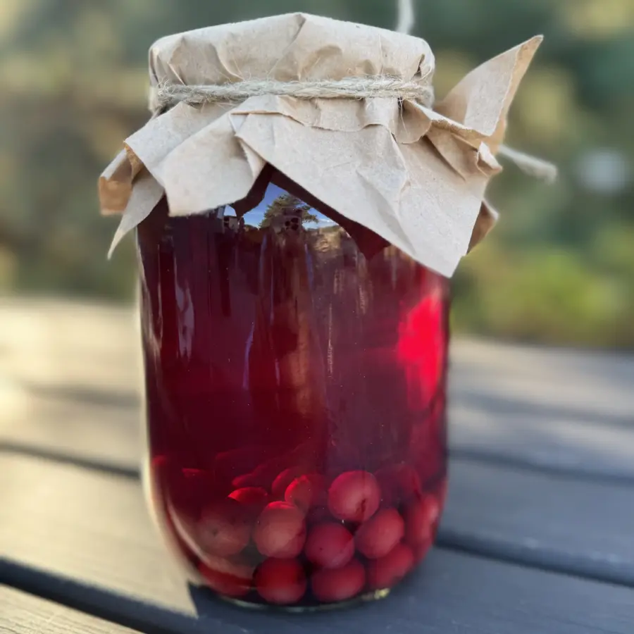 Компот вишневий